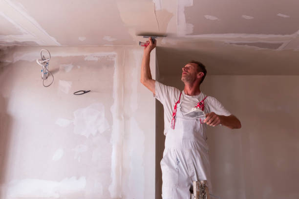 Best Drywall Repair  in Watauga, TX